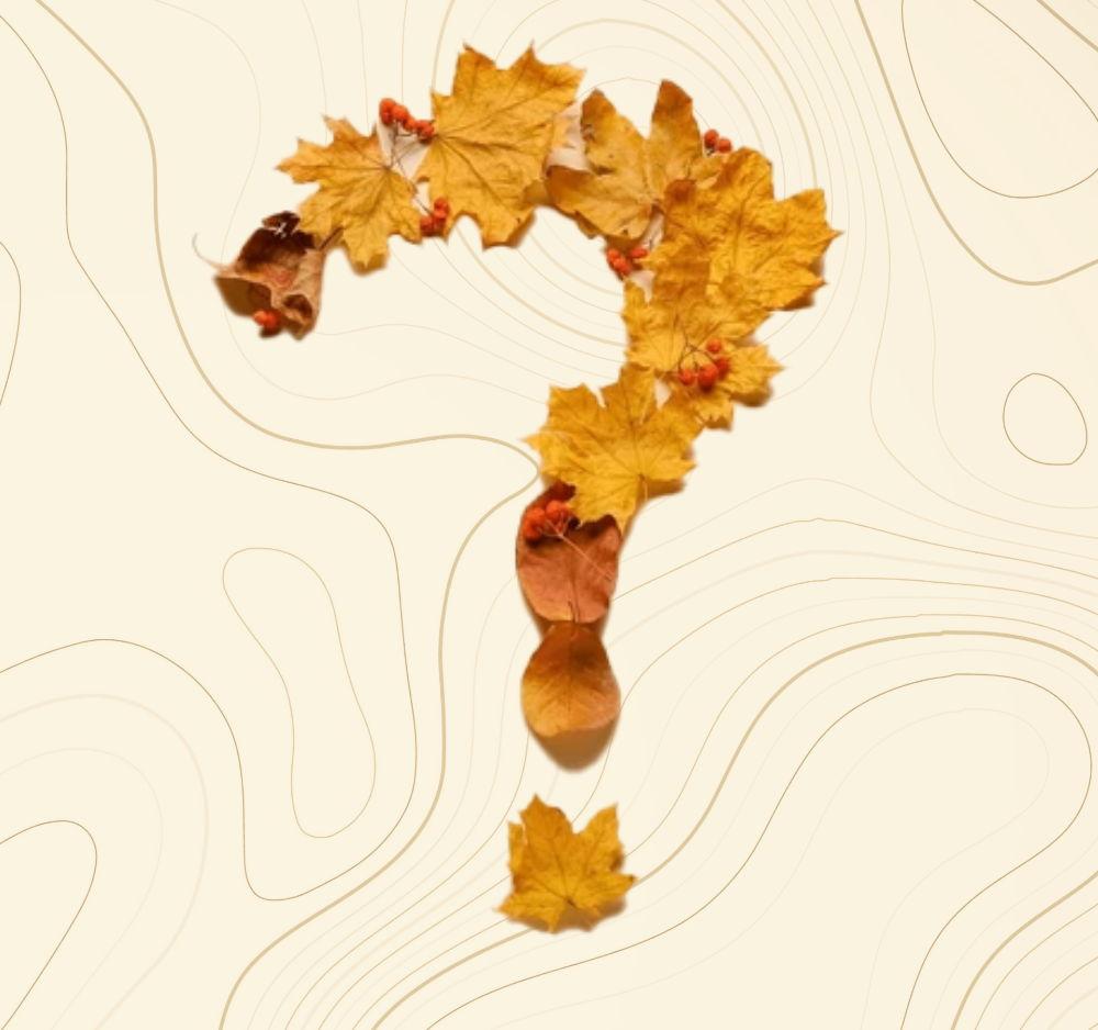 The Wedding Website of David Huber and Abby Gallegos