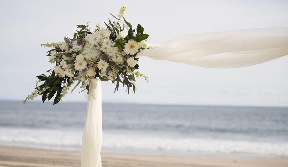 The Wedding Website of Craig Y and Taylor B