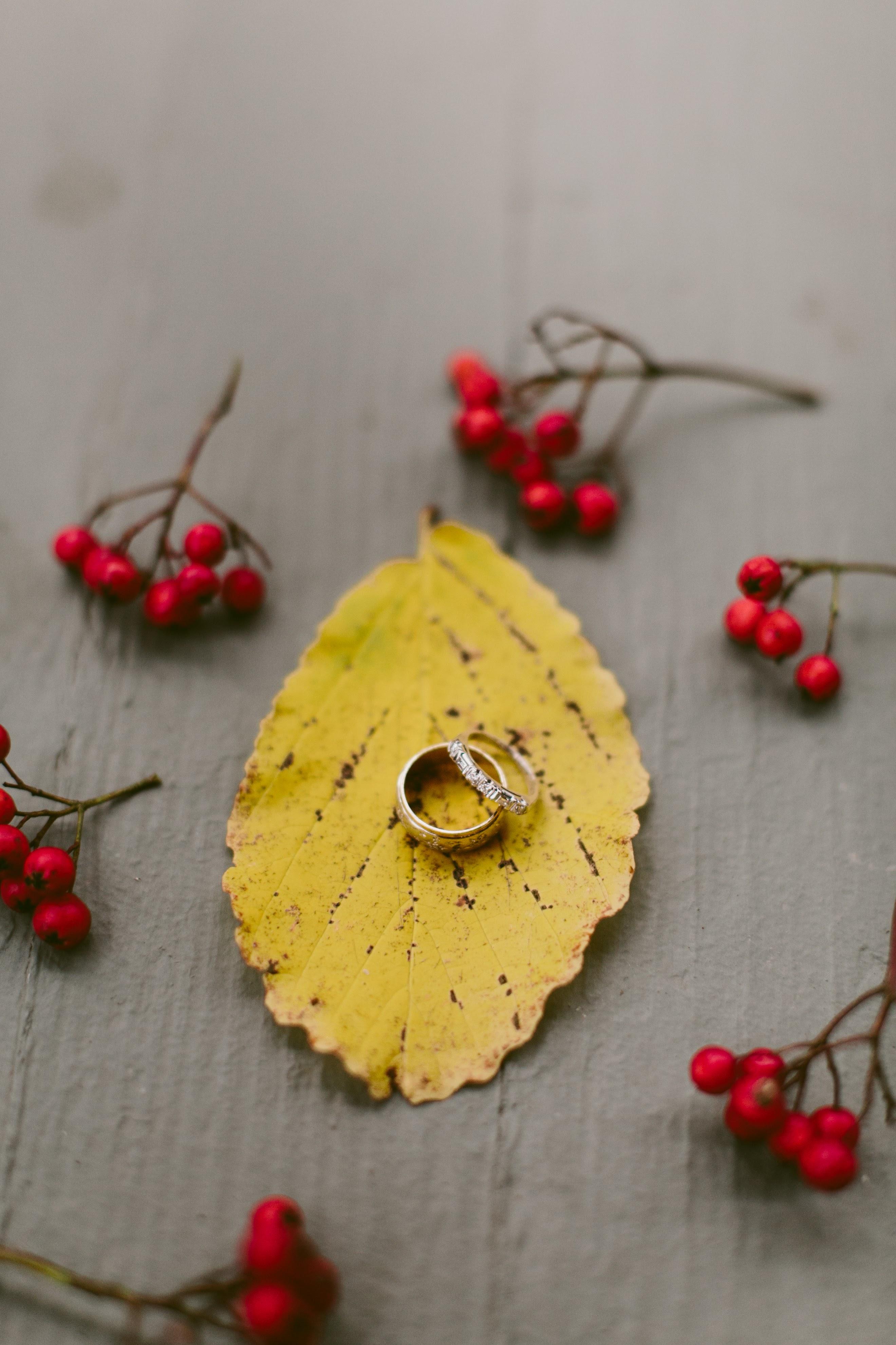 The Wedding Website of Rachel Browne and Joseph D'Agostino