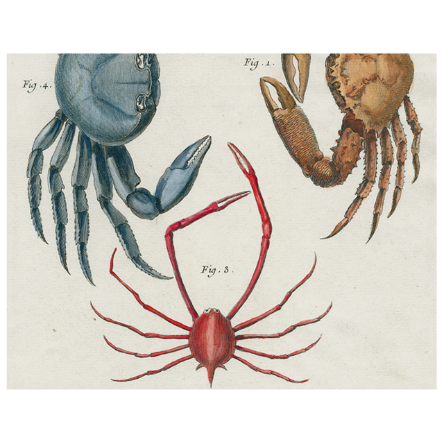 John Derian Decoupage Plate: Crabs (p 196)