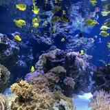 National Aquarium