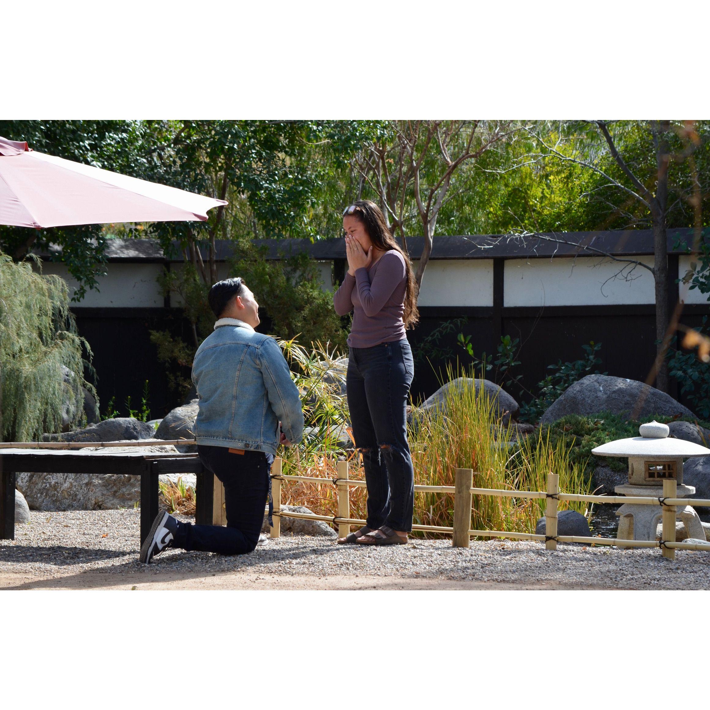 He distracted me by pointing out the koi fish in the pond, meanwhile he was behind me getting down on one knee.