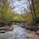 (Hiking) Tanyard Creek Nature Trail