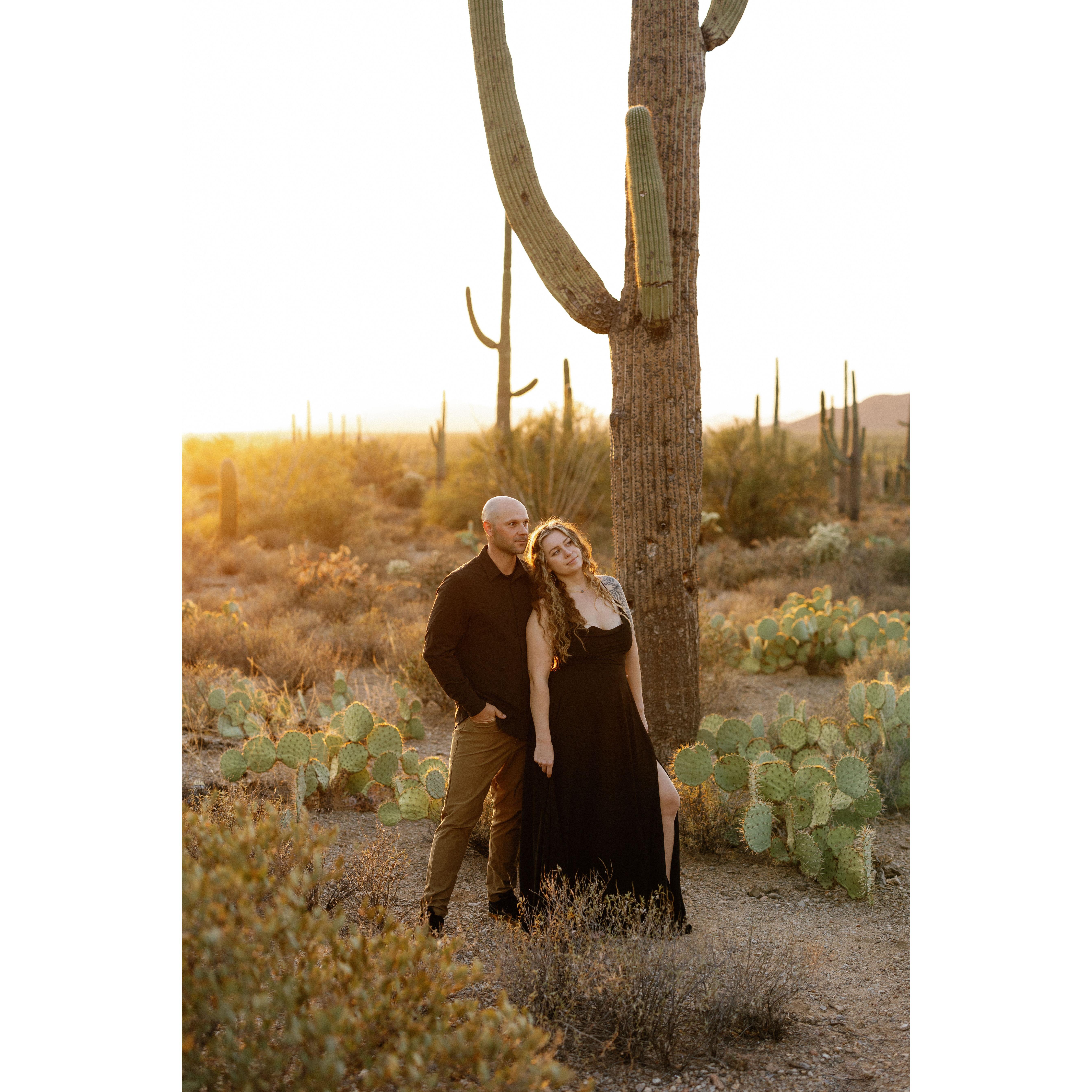 Photo by Meg Brooke Photography, Saguaro National Park