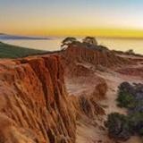 Torrey Pines State Natural Reserve