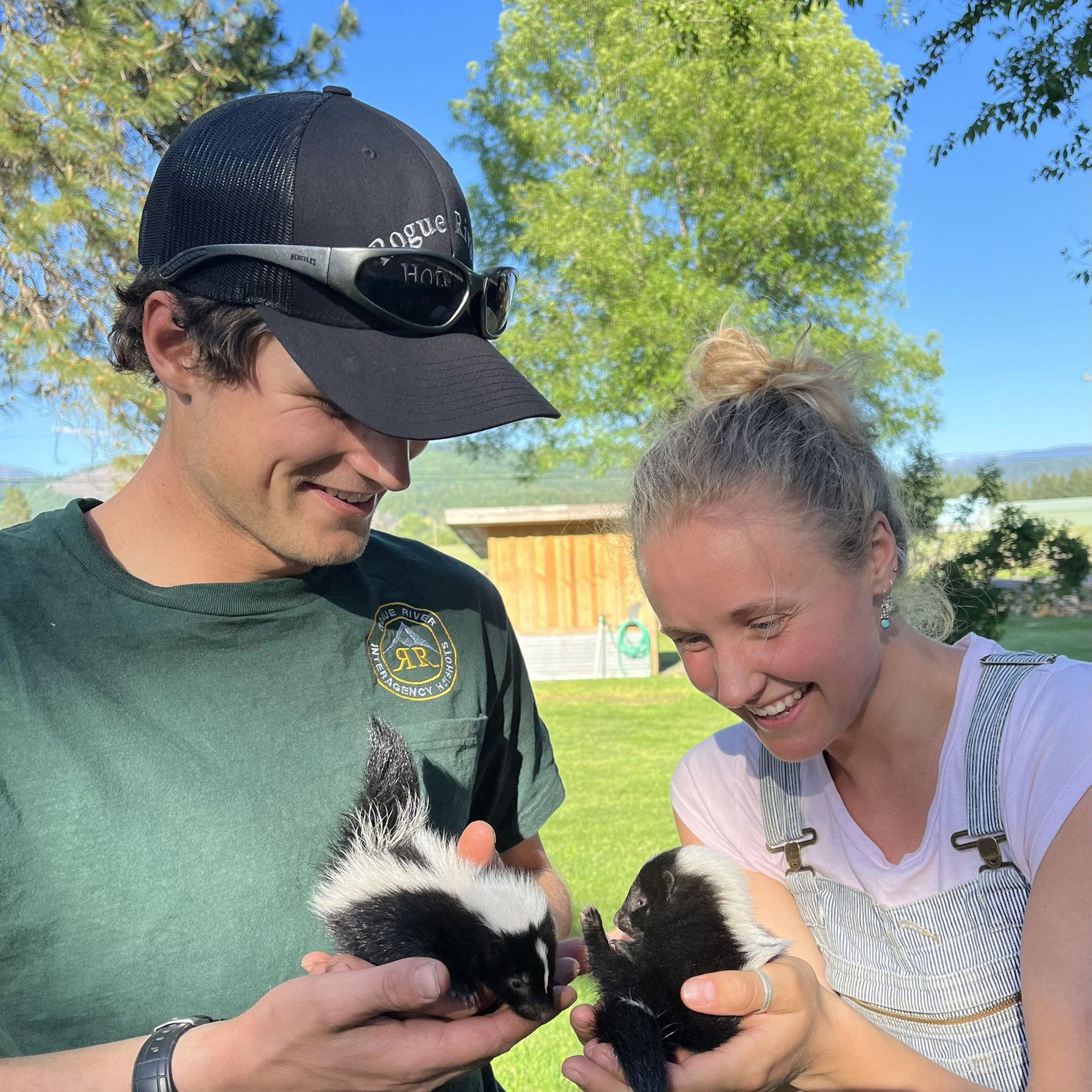 Baby Skunks