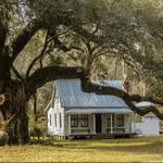 Sallie Ann Authentic Gullah Tour