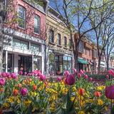 Pearl Street Mall