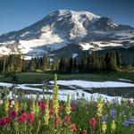 Mount Rainier National Park