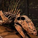 Tellus Science Museum