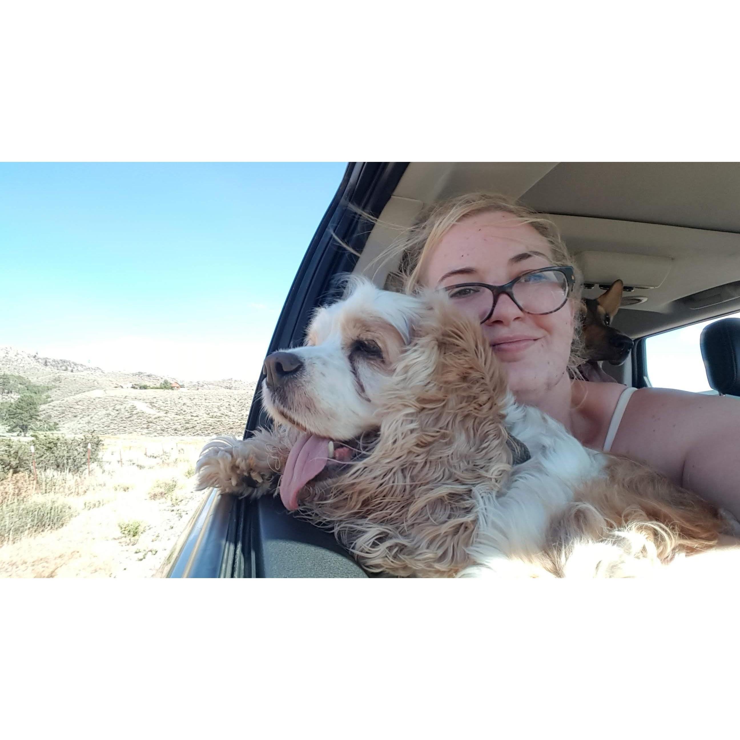 Heading to Frenchman's Lske. Coco rarely got to sit in my lap on a trip, such a treat.