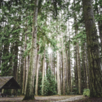 Kitsap Memorial State Park