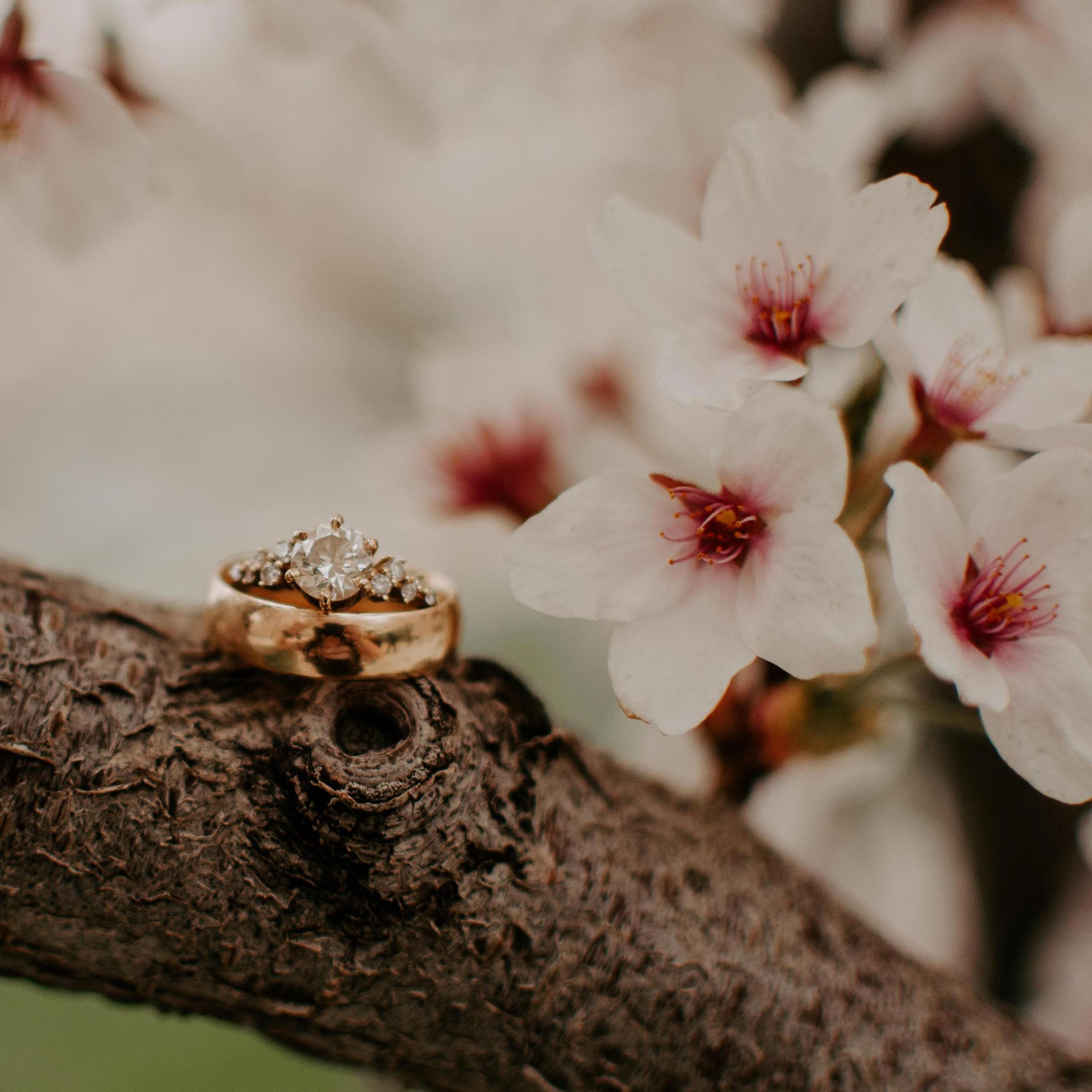 April 11, 2020 - Utah Capitol Building for engagement photos