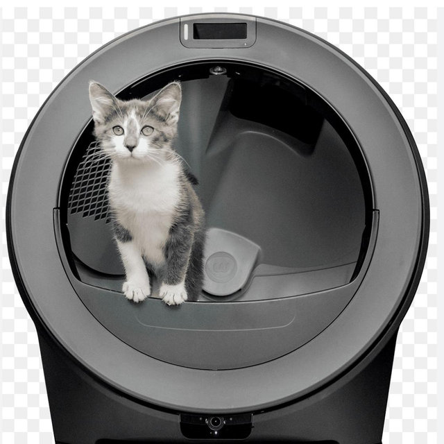Automated Litter Box