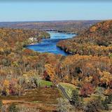 Bowmans Hill Wildflower Preserve & Tower