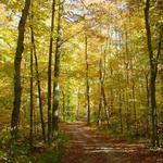 Stony Creek Metropark