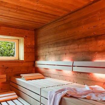 Backyard Sauna Dream