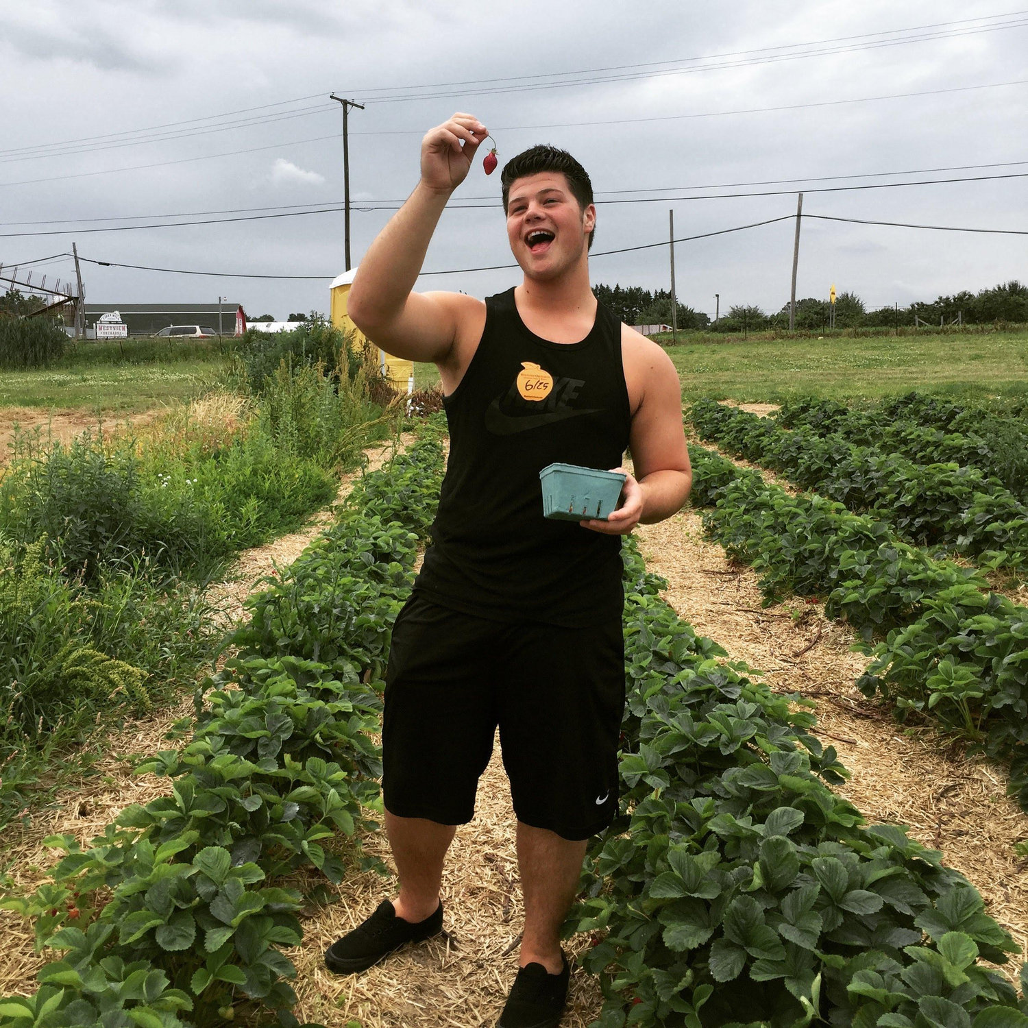 June 25, 2015
Who doesn't love strawberry picking!?