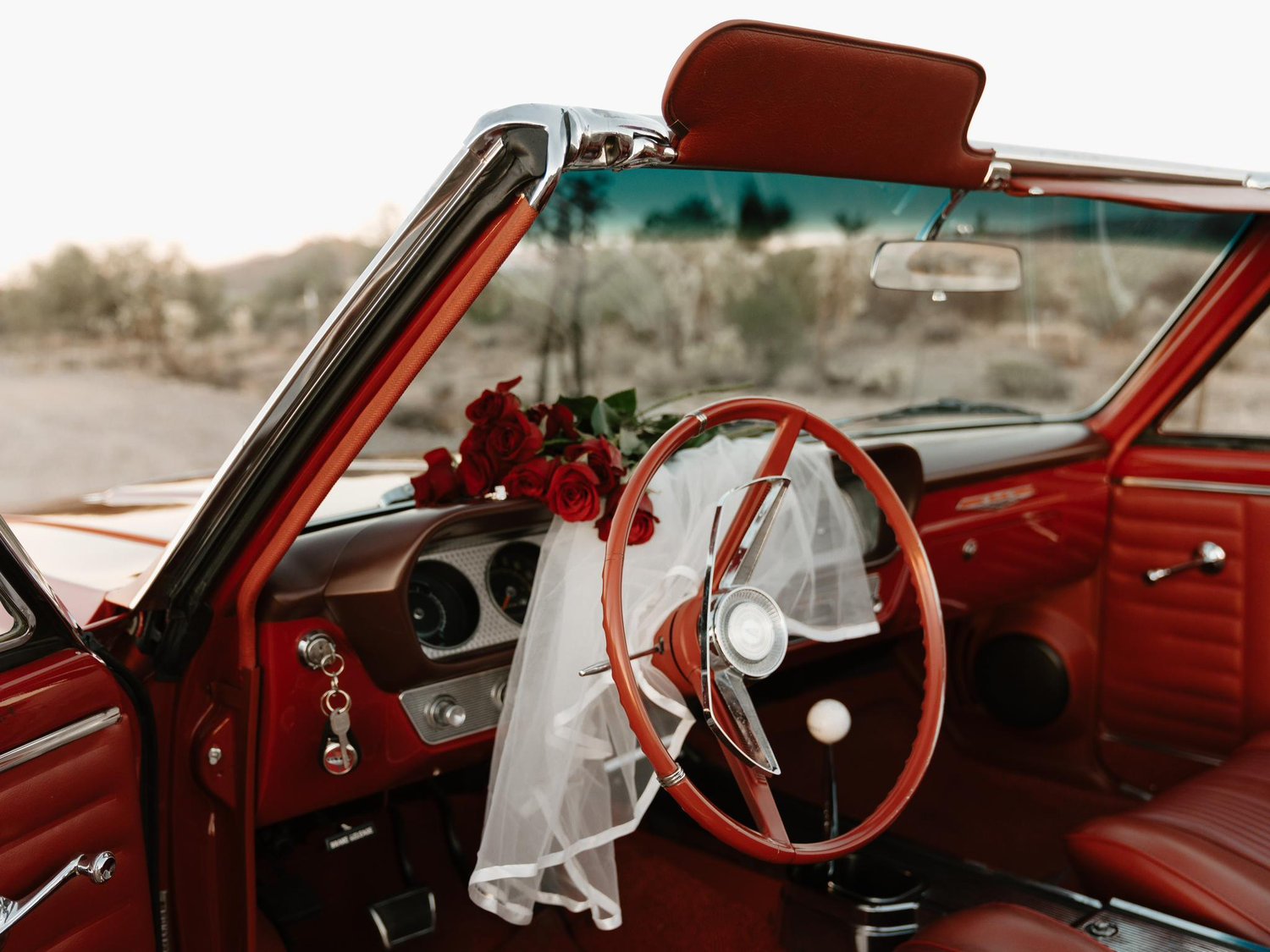 The Wedding Website of Emily Maslovich and Trace Kuberski