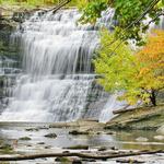 Explore Ball's Falls Conservation Area