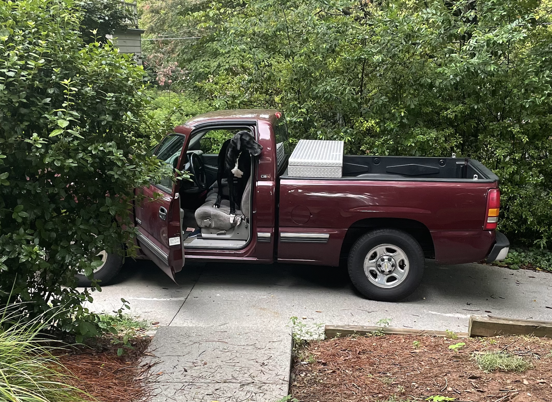 The Wedding Website of Abby Fernandez and Will Miller