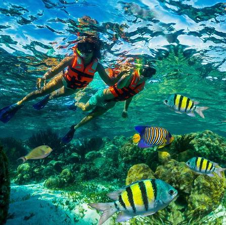 Horseshoe Reef & Round Cay Snorkel Adventure