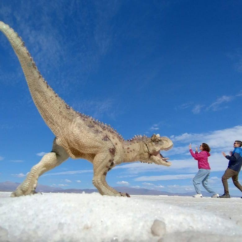 Salinas Grandes; Jujuy, 2024 - el guía nos hizo varias fotos divertidas!