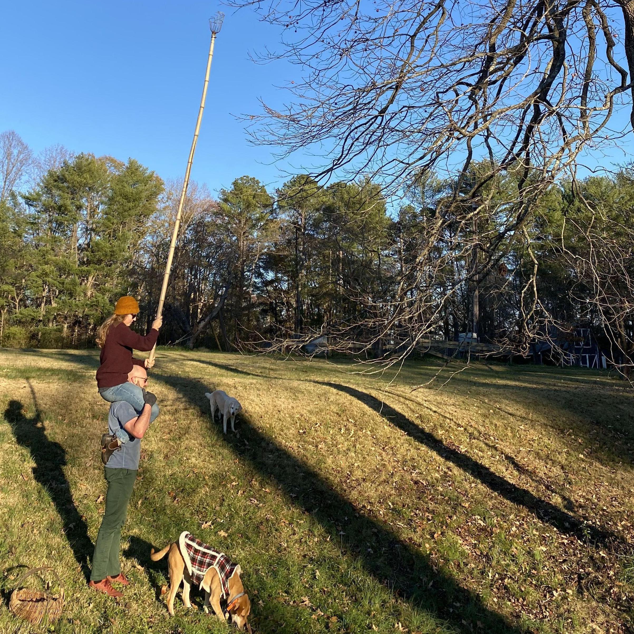 By any means necessary we will forage. Oct. 2022