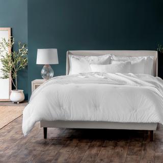 Teddy 300 Thread Count Cotton Percale 3-Piece Comforter Set