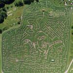 Great Vermont Corn Maze