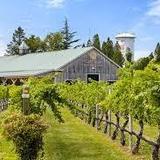 Cape May Winery & Vineyard