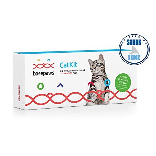 Basepaws | Cat DNA Test | Breed & Health Reports | Wildcat Index | 39 Health Markers | 17 Genetic Diseases | As Seen On Shark Tank