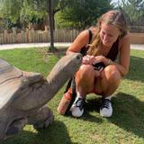 Reptile Gardens