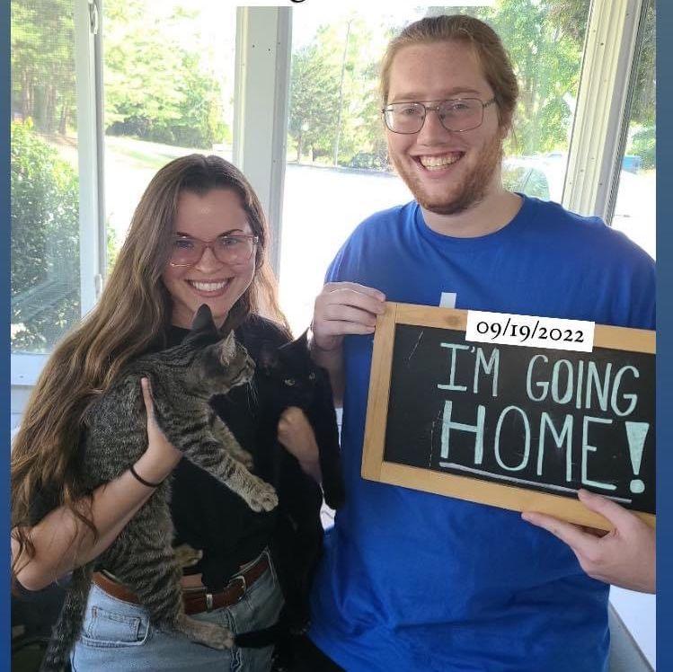 The day we got our sweet kitties!