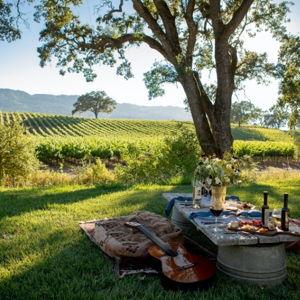 Sonoma Wine Tasting