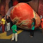 The Franklin Institute