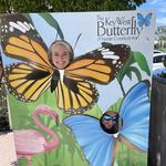 Key West Butterfly & Nature Conservatory