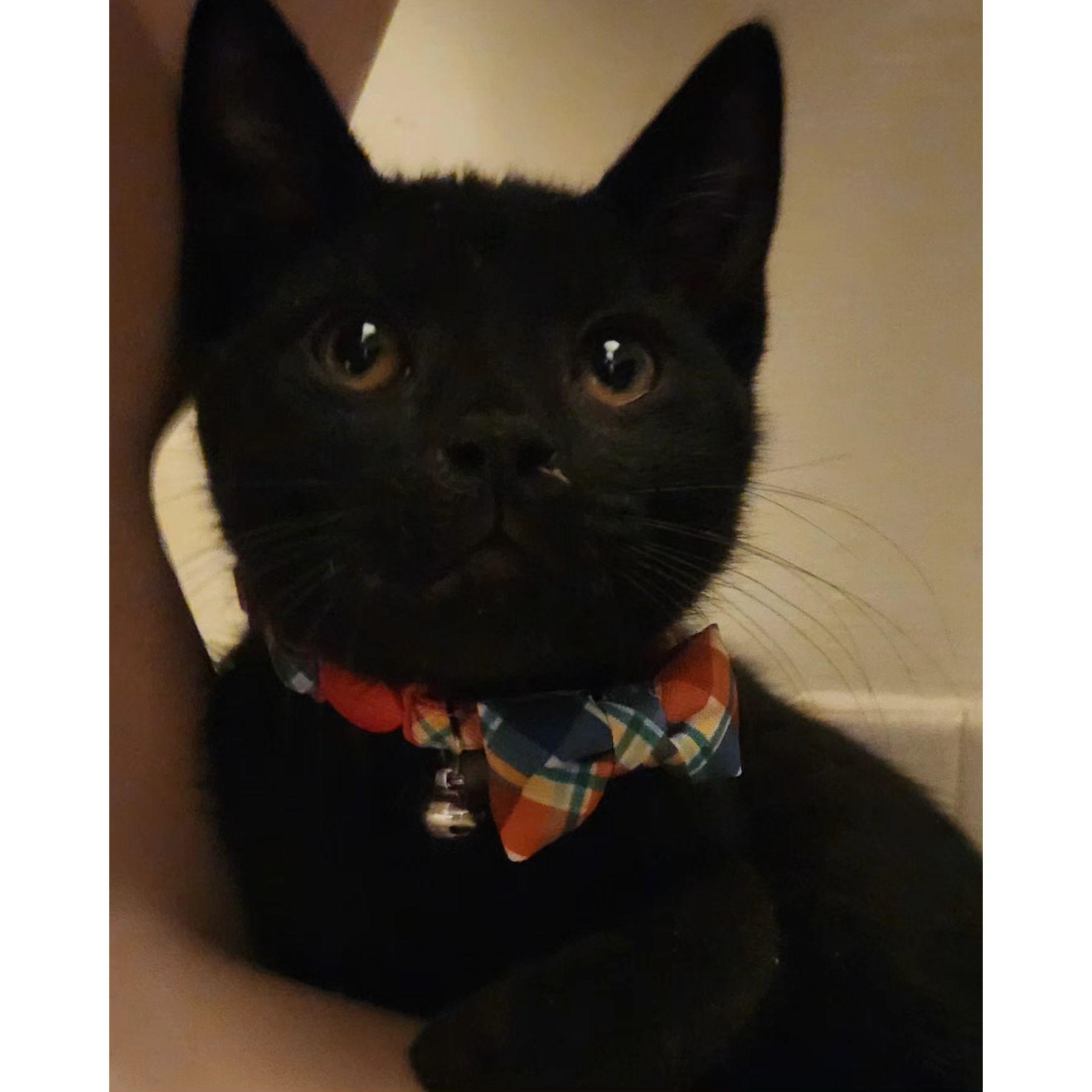 Vader