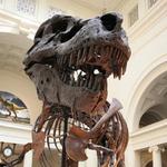 Field Museum