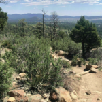 Easy to Moderate Hiking: Fatmans Loop Trail