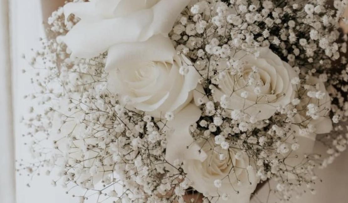 The Wedding Website of Rachel St. Jean and Hank Moore