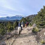 Horseback Riding