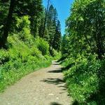 Sourdough Trail