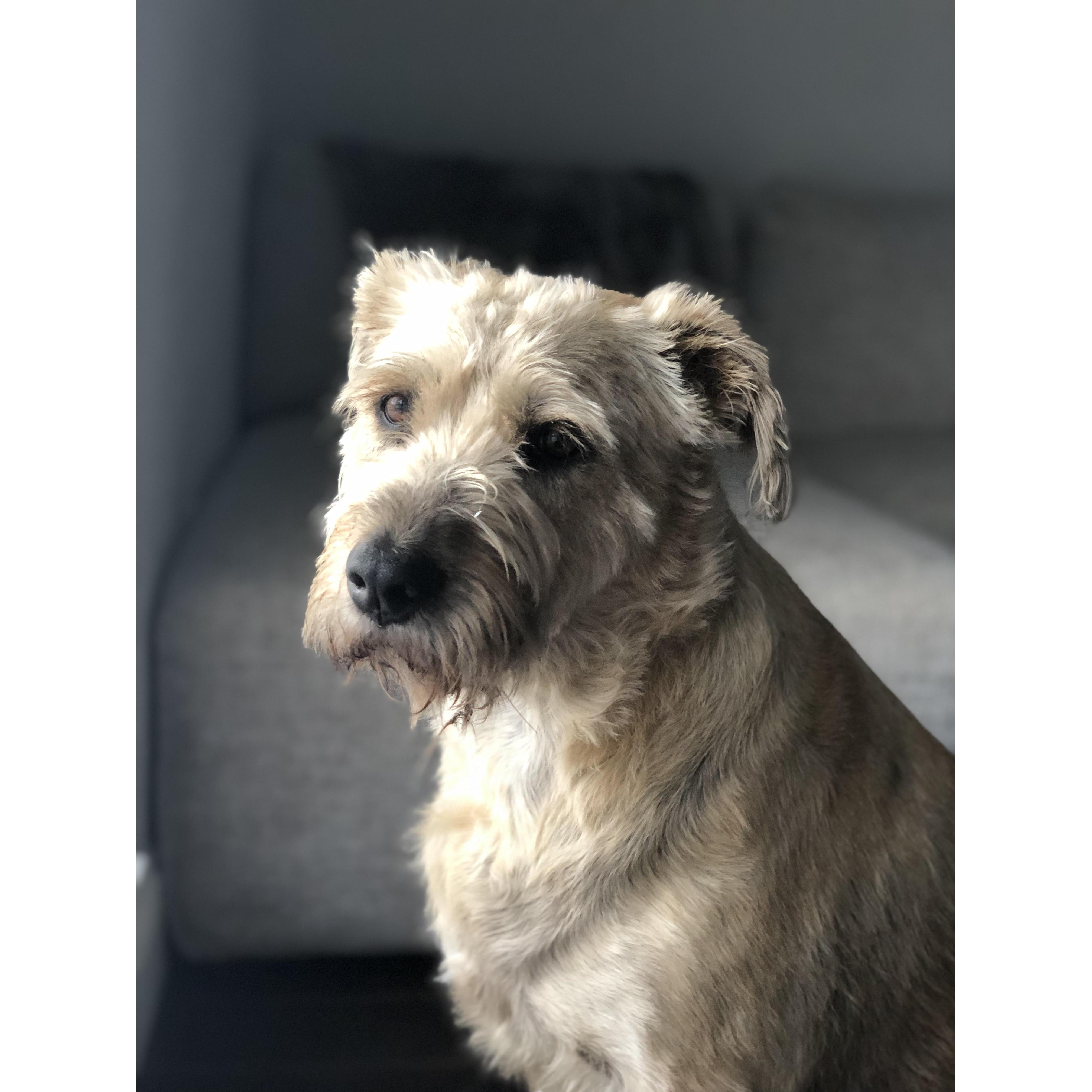 Our baby girl, Maggie.
