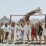 Malibu Wine Safaris