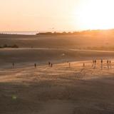 Jockey's Ridge State Park