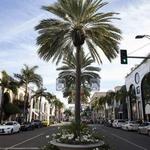 Rodeo Drive