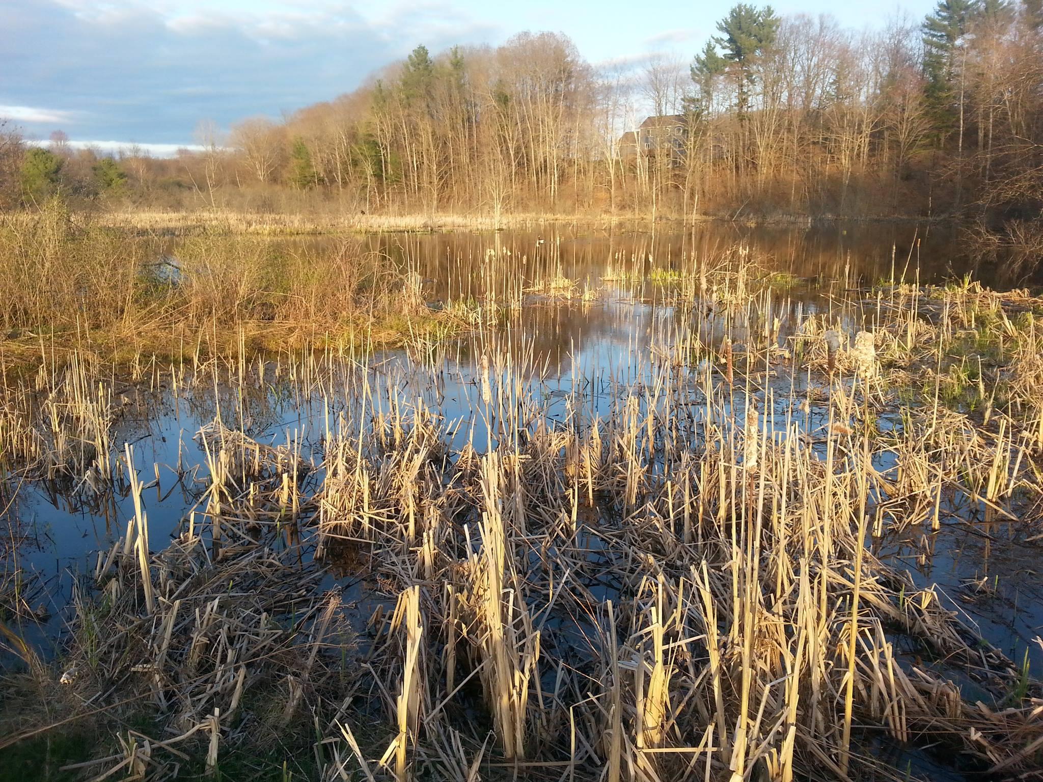 The Wedding Website of Kara Robart and Travis Raley