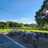 Treehouse Vineyards
