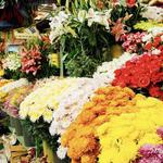 Ignacio Ramírez Market